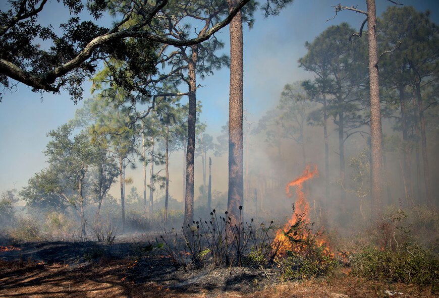 Air Force Civil Engineer Center wildland fire managers conduct a prescribed burn at White Point Recreation Area on the Eglin reservation in Florida. Prescribed fires maintain the base's ecosystem in its pristine state, reduce dangerous buildup of understory and enable maximum flexibility to conduct test and training missions without causing catastrophic wildfires.The Fire Management division here applies prescribed fire to an average of 90,000 acres annually.