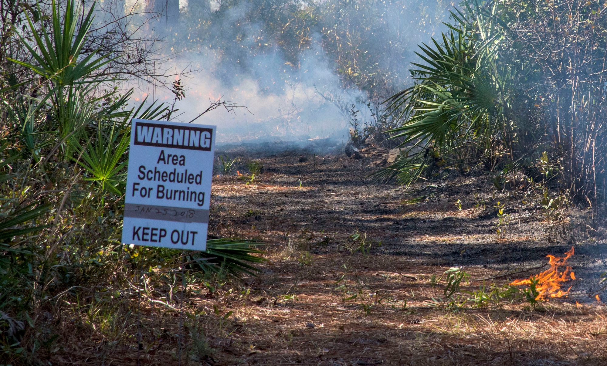 Eglin wildland fire managers conduct a prescribed burn at White Point Recreation Area on the Eglin reservation in Florida. Prescribed fires maintain the base's ecosystem in its pristine state, reduce dangerous buildup of understory and enables maximum flexibility to conduct test and training missions without causing catastrophic wildfires. The 96th Civil Engineer Group's Fire Management section applies prescribed fire to an average of 90,000 acres annually.