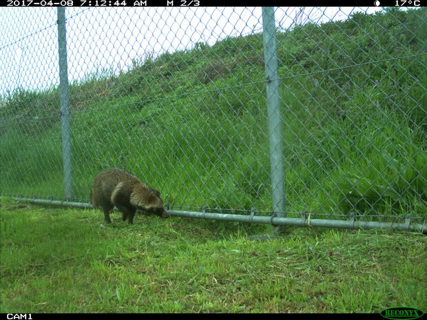 Iwakuni animal-lovers take note
