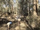 California Conservation Corps working in the Santa Barbara County Santa Monica Basin Jan. 29. The Cs have also assisted Caltrans with mud and debris removal from freeway medians.