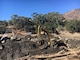U.S. Army Corps of Engineers Los Angeles District contract partner, Betance Enterprises, Inc., of Riverside, California, is nearing 50 percent cleanup of the Santa Barbara County Romero Debris Basin as of Jan. 29. In all, nearly 1,000 truckloads of debris have been removed.