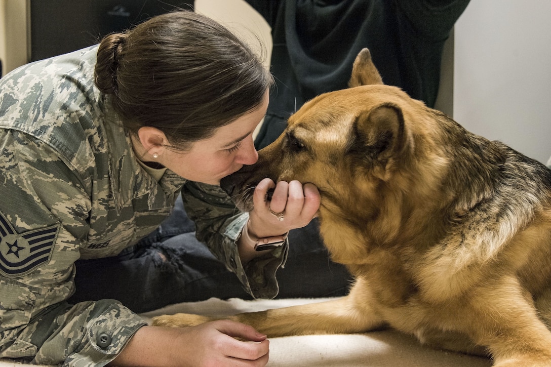 Airman kisses retired military working dog on nose.