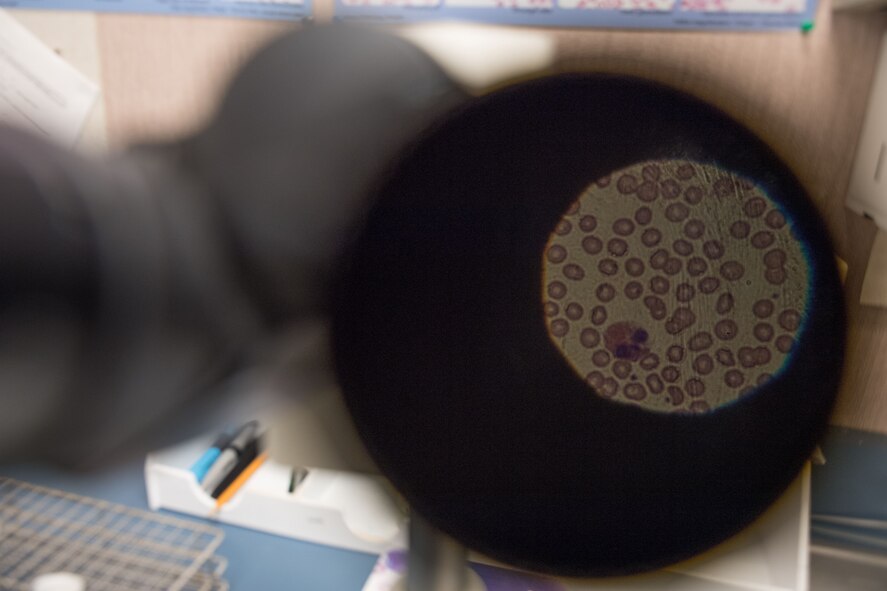 2nd MDSS ensure Airmen are fit to fight