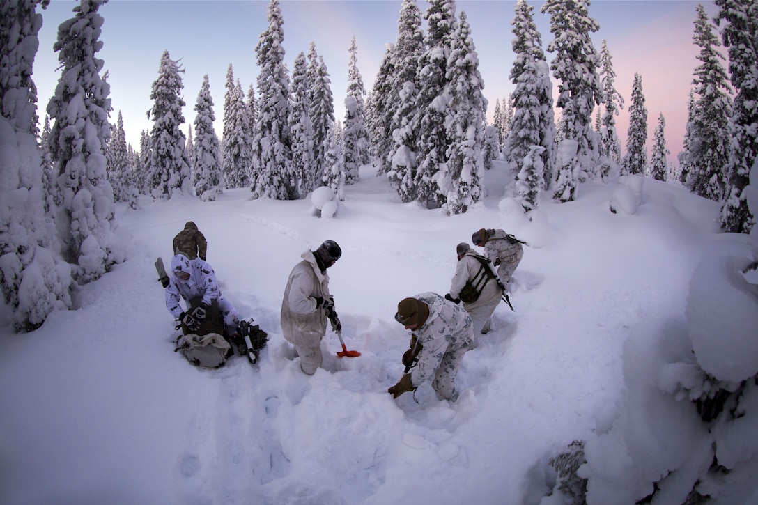 Marines digging a bivouac in the snow.