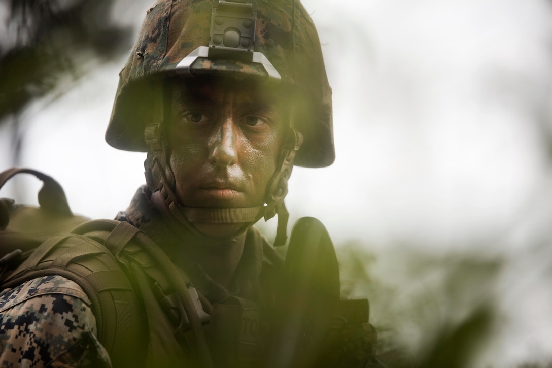Marine Sgt. Stafford Melerine provides security in the tree line during Exercise Samurai.