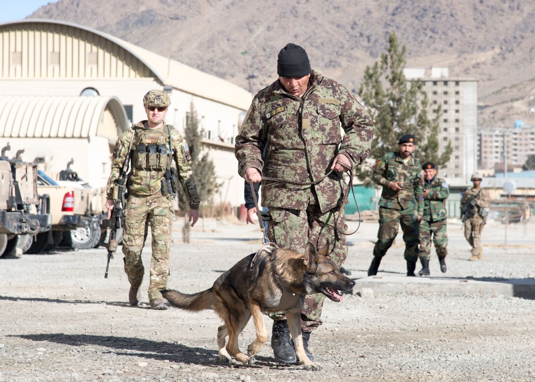 Military working dog handlers key to security