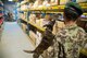 TAAC-Air helps establish AAF Military working dog program