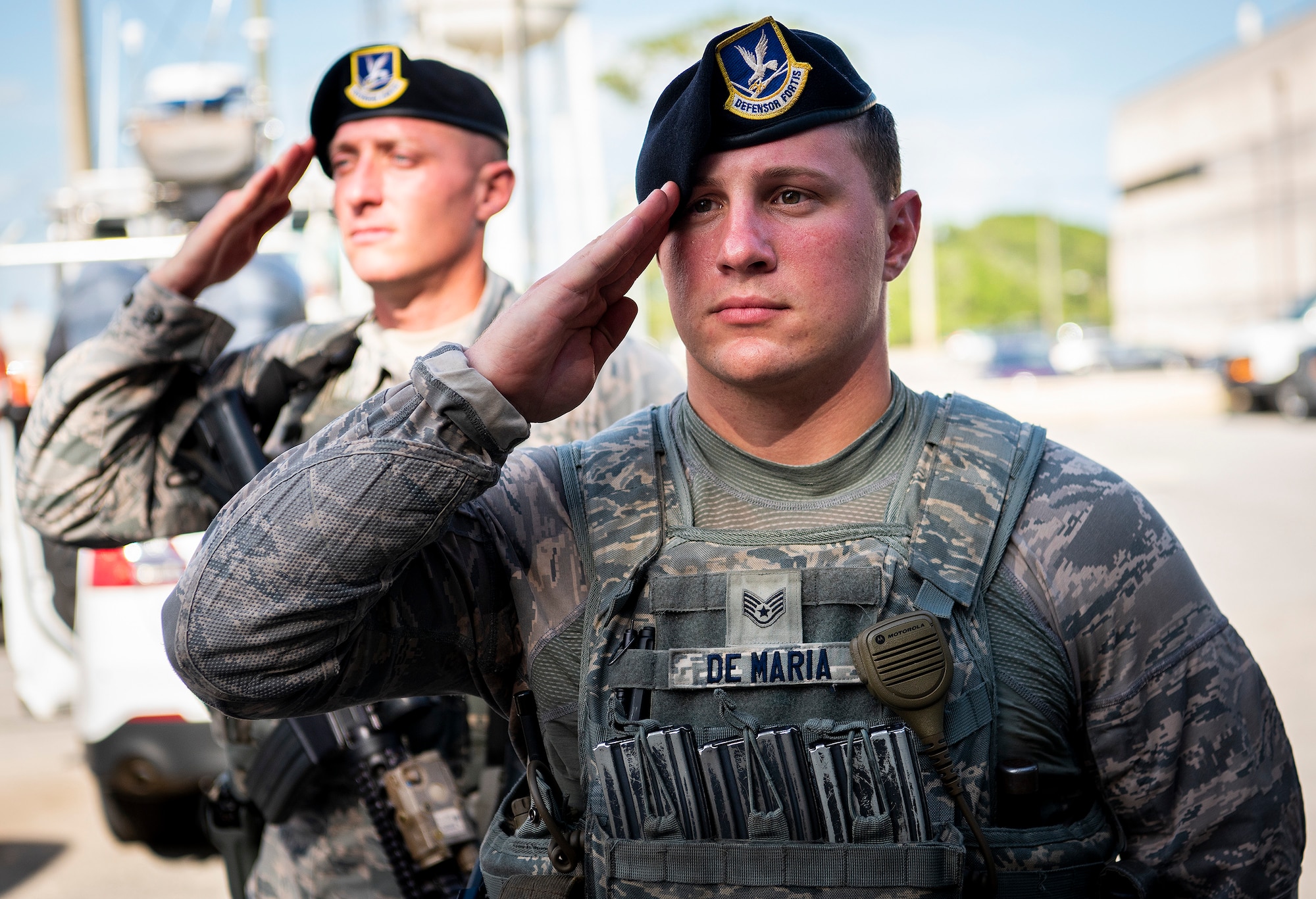 SFS salute