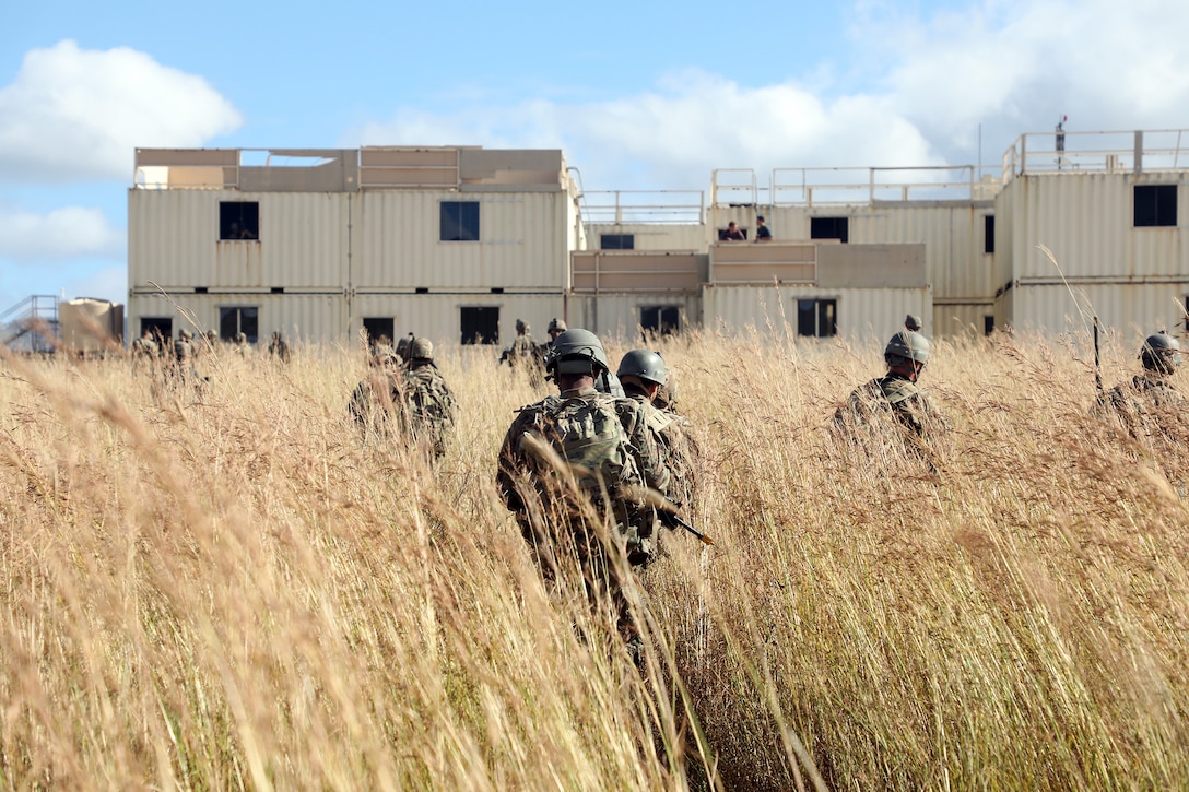 Soldiers walk through tall grass toward a building.