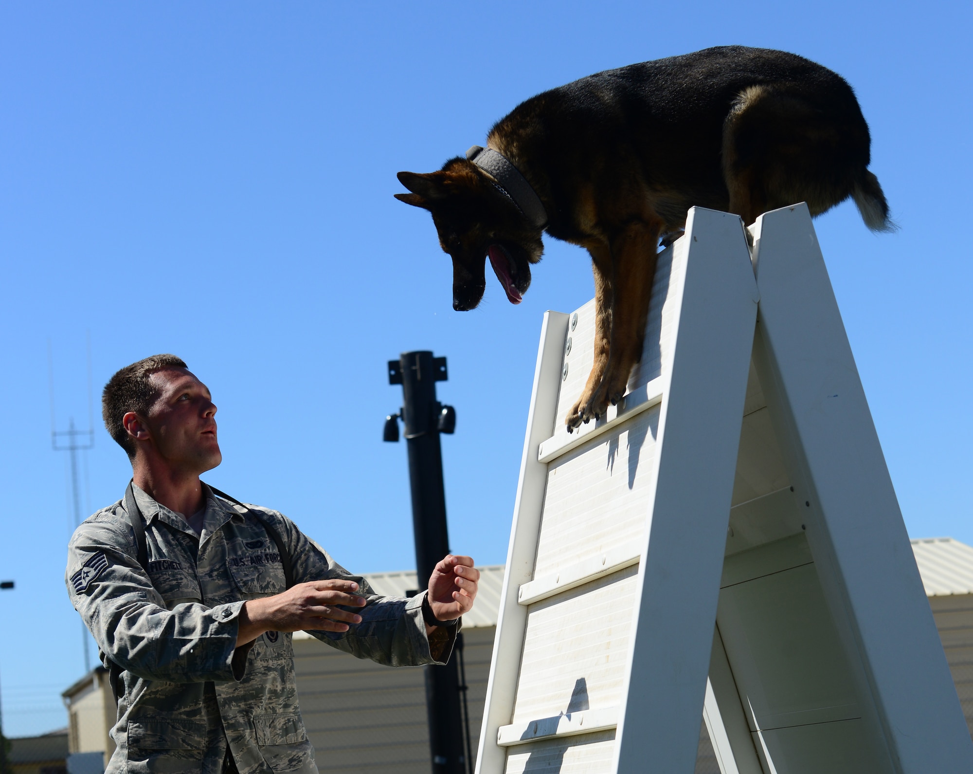 The 9th Security Forces Squadron military working dog unit recently completed a new training area designed to enhance the companionship between handlers and their dogs