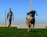 The 9th Security Forces Squadron military working dog unit recently completed a new training area designed to enhance the companionship between handlers and their dogs