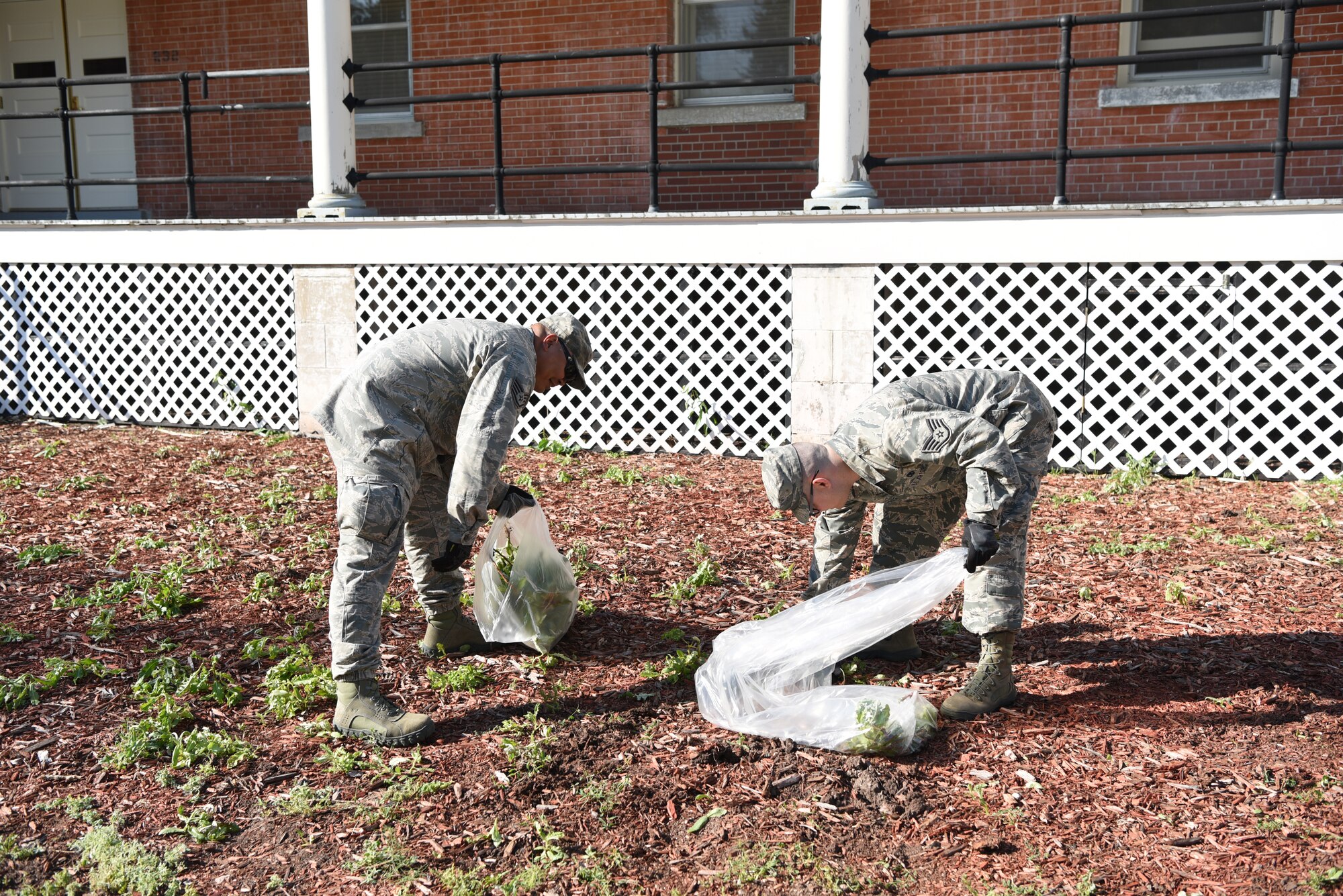 Staff Sgt. Danilo Dancel, 790th Maintenance Squadron plans and scheduling, and Staff Sgt. Alekxandr Brammer, 790th Maintenance Squadron data analyzer, pick up brush along the main road during Mayoral Day, June 29, 2018, on F.E. Warren Air Force Base, Wyo. Mayoral Day was a few hours set aside for the whole base to come together and clean up outside. F.E. Warren designates several days throughout the year to focus on clean-up efforts and there are several units that come together throughout the summer months to further the efforts. (U.S. Air Force photo by Airman 1st Class Abbigayle Wagner)