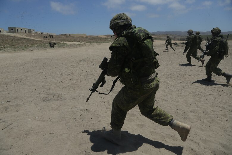 RIMPAC provides high-value training for task-organized, highly-capable Marine Air-Ground Task Force and enhances the critical crisis response capability of U.S. Marines in the Pacific.