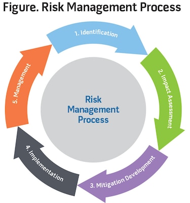 Figure. Risk Management Process