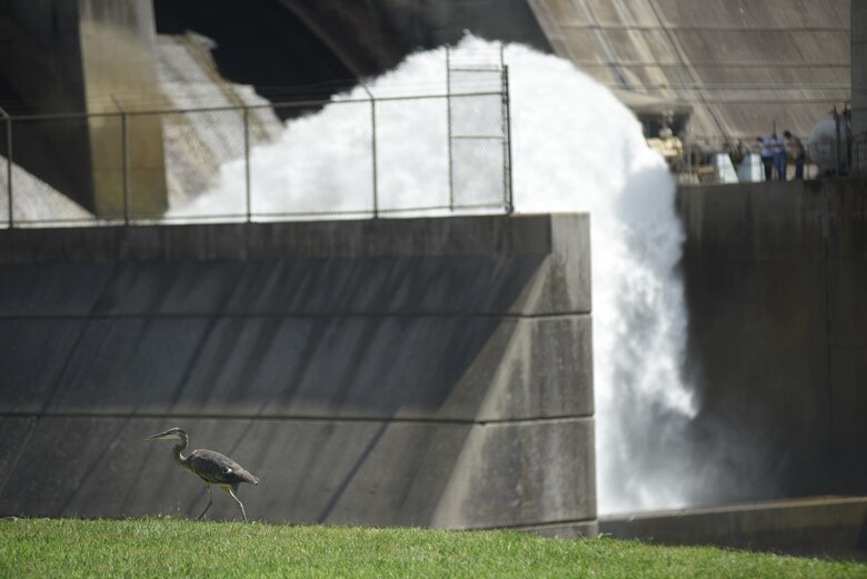 Several people watch water spray into the tailwater at J. Percy Priest Dam during a public tour as part of the 50th Anniversary of J. Percy Priest Dam and Reservoir in Nashville, Tenn., June 29, 2018. (USACE Photo by Lee Roberts)