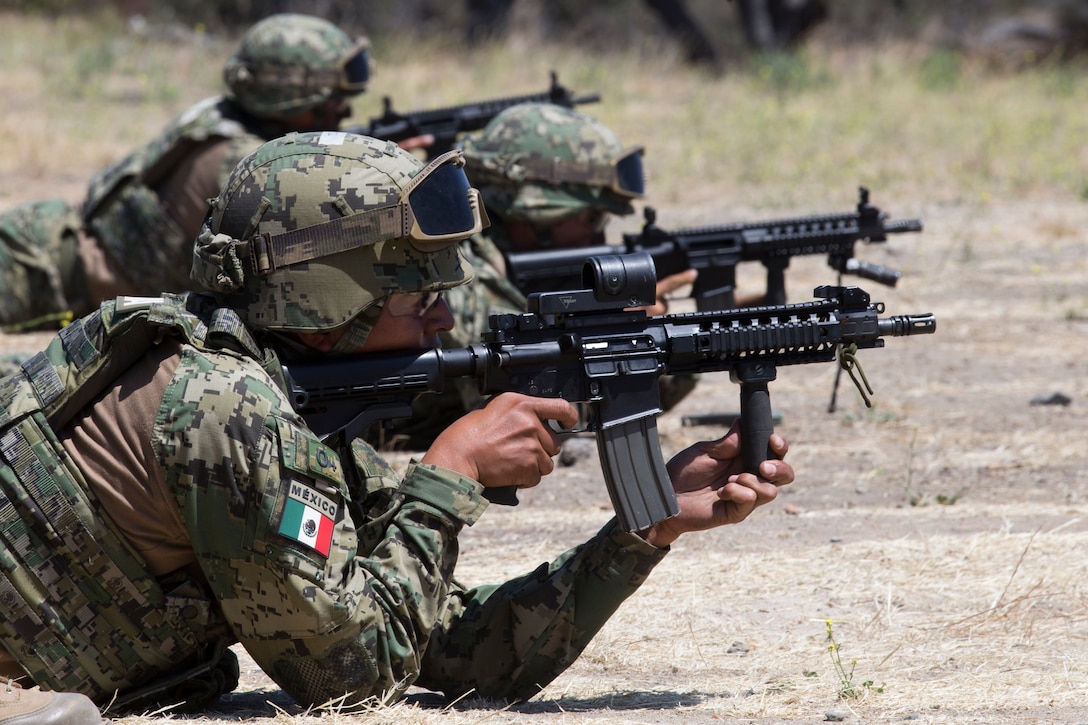 Mexican marines with the Amphibious Marine Infantry Brigade shoot moving targets during at a live-fire range as part of Rim of the Pacific (RIMPAC) exercise on Marine Corps Base Camp Pendleton, California, July 3, 2018. RIMPAC demonstrates the value of amphibious forces and provides high-value training for task-organized, highly-capable Marine Air-Ground Task Forces enhancing the critical crisis response capability of U.S. forces and partners globally. Twenty-five nations, 46 ships, five submarines, about 200 aircraft and 25,000 personnel are participating in RIMPAC from June 27 to Aug. 2 in and around the Hawaiian Islands and Southern California.