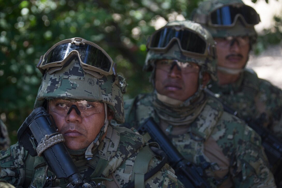Mexican marines with the Amphibious Marine Infantry Brigade observe the layout and targets during a live-fire drill as part of Rim of the Pacific (RIMPAC) exercise at Marine Corps Base Camp Pendleton, California, July 3, 2018. RIMPAC demonstrates the value of amphibious forces and provides high-value training for task-organized, highly-capable Marine Air-Ground Task Forces enhancing the critical crisis response capability of U.S. forces and partners globally. Twenty-five nations, 46 ships, five submarines, about 200 aircraft and 25,000 personnel are participating in RIMPAC from June 27 to Aug. 2 in and around the Hawaiian Islands and Southern California.