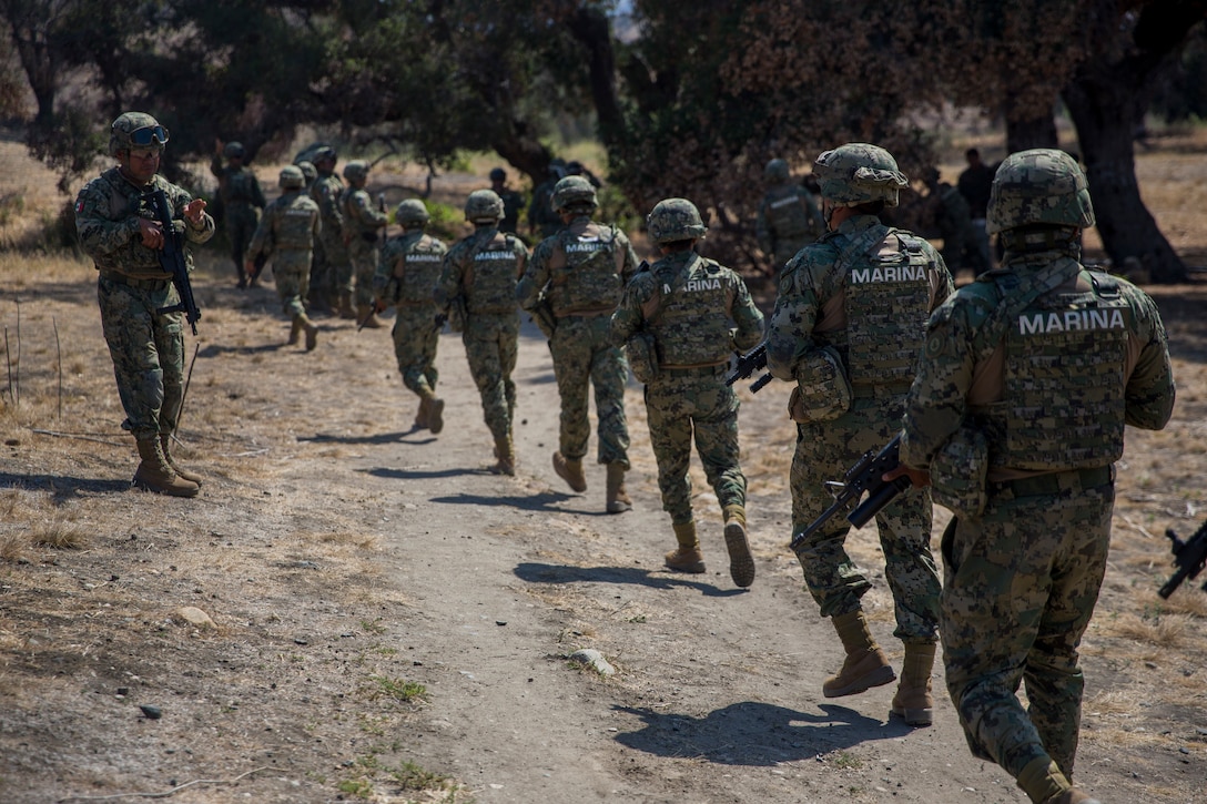 Mexican marines with the Marine Amphibious Infantry Brigade, Naval Infantry Force, advance towards a range during live-fire drills as part of Rim of the Pacific (RIMPAC) exercise on Marine Corps Base Camp Pendleton, California, July 3, 2018. RIMPAC demonstrates the value of amphibious forces and provides high-value training for task-organized, highly-capable Marine Air-Ground Task Forces enhancing the critical crisis response capability of U.S. forces and partners globally. Twenty-five nations, 46 ships, five submarines, about 200 aircraft and 25,000 personnel are participating in RIMPAC from June 27 to Aug. 2 in and around the Hawaiian Islands and Southern California.