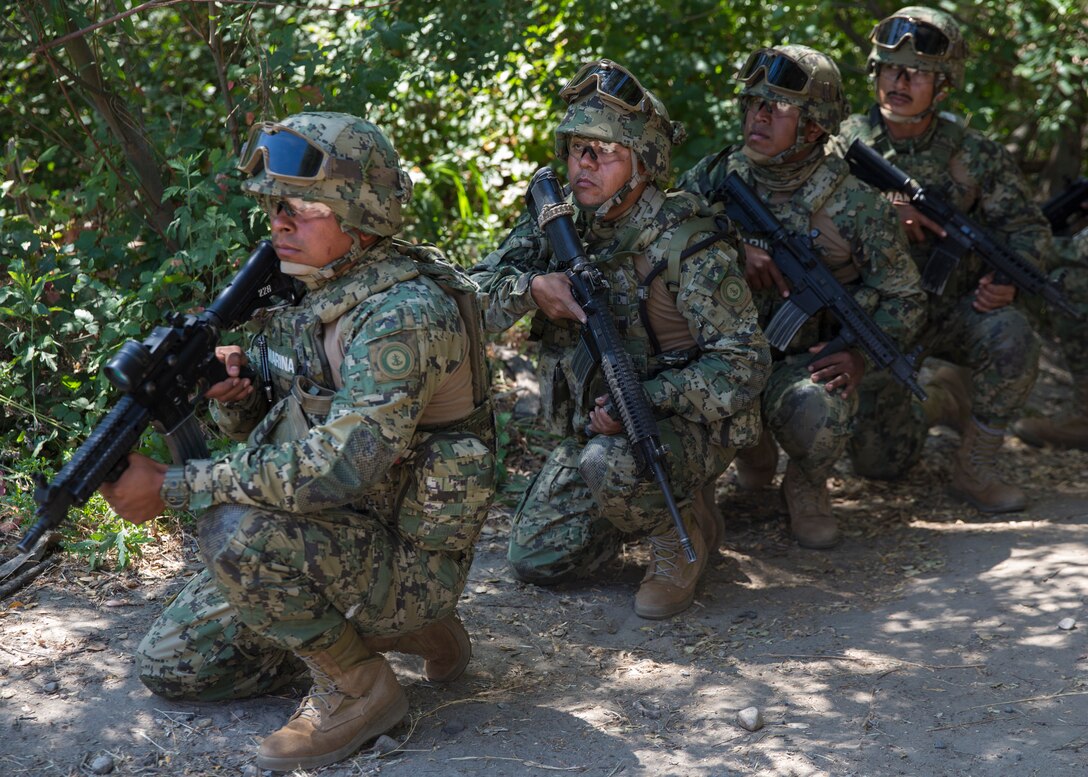 Mexican marines with Marine Amphibious Infantry Brigade demonstrate security observation procedures before advancing to a live-fire range during Rim of the Pacific (RIMPAC) exercise at Marine Corps Base Camp Pendleton, California, July 3, 2018. RIMPAC demonstrates the value of amphibious forces and provides high-value training for task-organized, highly-capable Marine Air-Ground Task Forces enhancing the critical crisis response capability of U.S. forces and partners globally. Twenty-five nations, 46 ships, five submarines, about 200 aircraft and 25,000 personnel are participating in RIMPAC from June 27 to Aug. 2 in and around the Hawaiian Islands and Southern California.