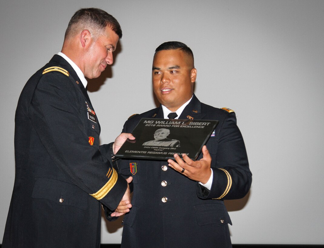 Army Reserve Chemical Company receives prestigious award for excellence