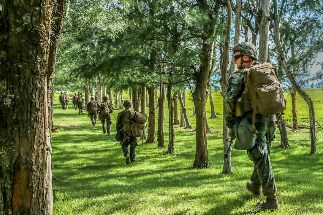 Marines walk through lines of trees.