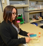 Genie Hernandez, Brooke Army Medical Center pharmacy technician, ensures every prescription pill is accounted for at the BAMC Main Pharmacy July 6. The Brooke Army Medical Center Pharmacy Department offers several services to enhance the patient experience, implementing some new features to improve services and provide solutions to keep patients informed about their prescriptions.