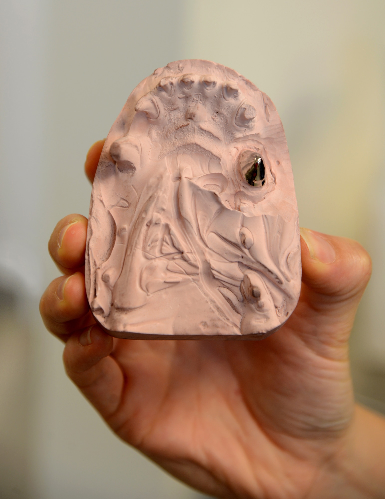 The putty mold that members of the 72nd Dental Squadron made of MWD Aruba's teeth to help them make the correct size crown.