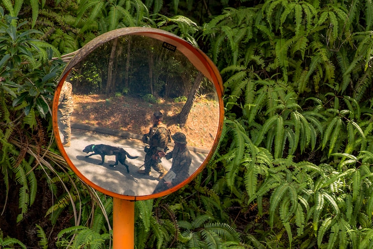 Marines with a dog are visible in a round mirror.