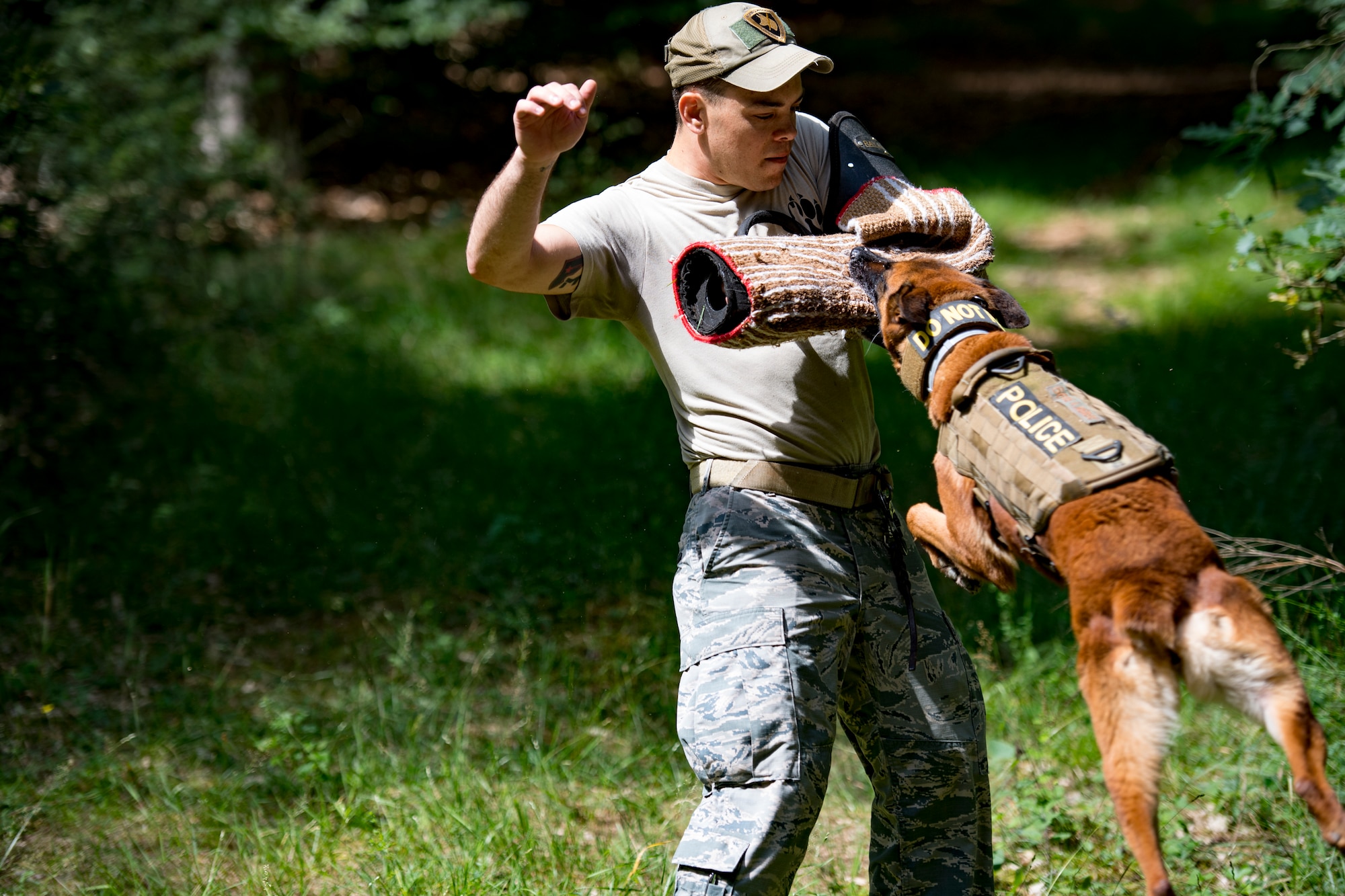 U.S. Air Force 86th Security Forces Squadron military working dog, Rrisky, bites Staff Sgt. Miguel Novoa’s wrap, 86th SFS MWD handler, during training in Ramstein, Germany, June 25, 2018. Handlers try to make training enjoyable for the dogs so that they will continue to be motivated when performing their duties. (U.S. Air Force photo by Senior Airman Devin Boyer)
