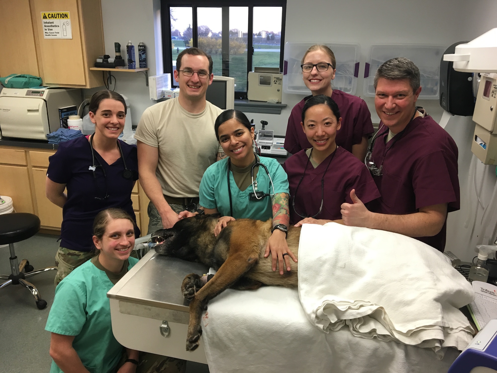 On April 12, 2018, members of the 436th Airlift Wing Dental Operations Flight gained a new patient that required them to put some of their unique capabilities to the test, here.  
A root canal was performed on Military Working Dog Karlo, an 80-pound Belgian Malinois assigned to the 436th Security Forces Squadron, because of an incident that occurred during a training demonstration one day prior.