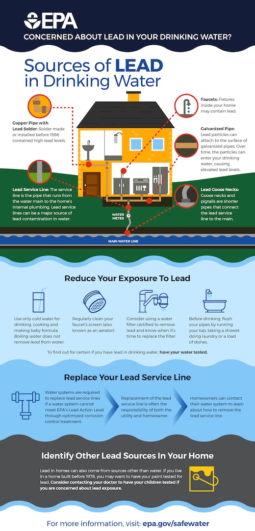 Lead can cause serious health problems if too much enters your body from drinking water or other sources. It can cause damage to the brain and kidneys, and can interfere with the production of red blood cells that carry oxygen to all parts of your body.