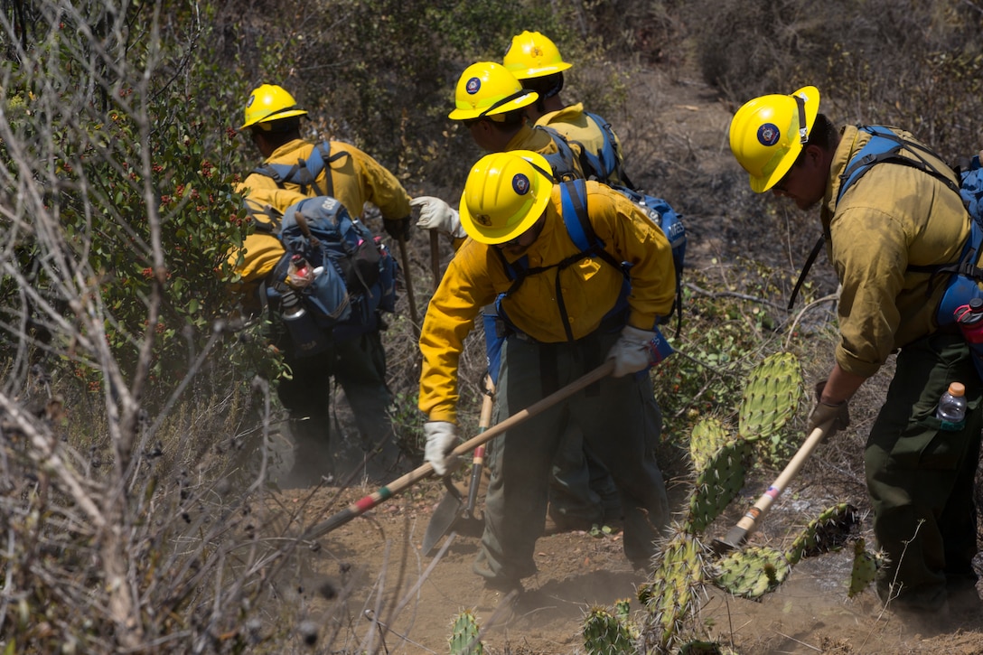 Pendleton Complex fires burn more than 1,600 acres