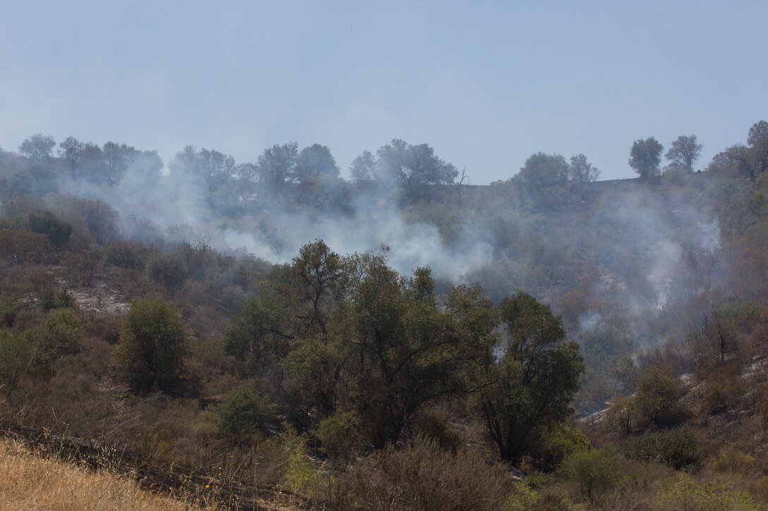 Pendleton Complex fires burn more than 1,600 acres