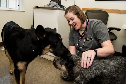 U.S. Army Maj. Natalie Erker, a veterinarian assigned to Fort Lewis Public Health Activity, laughs during the visit of Zasha and Blue Bell to the Veterinary Treatment Facility at Joint Base Elmendorf-Richardson, Alaska, July 6, 2018. The facility, in Building 47815 between 5th and 6th Street on Davis Highway, offers a variety of services like canine and feline services, health certificates, sick call, allergy testing and more.
