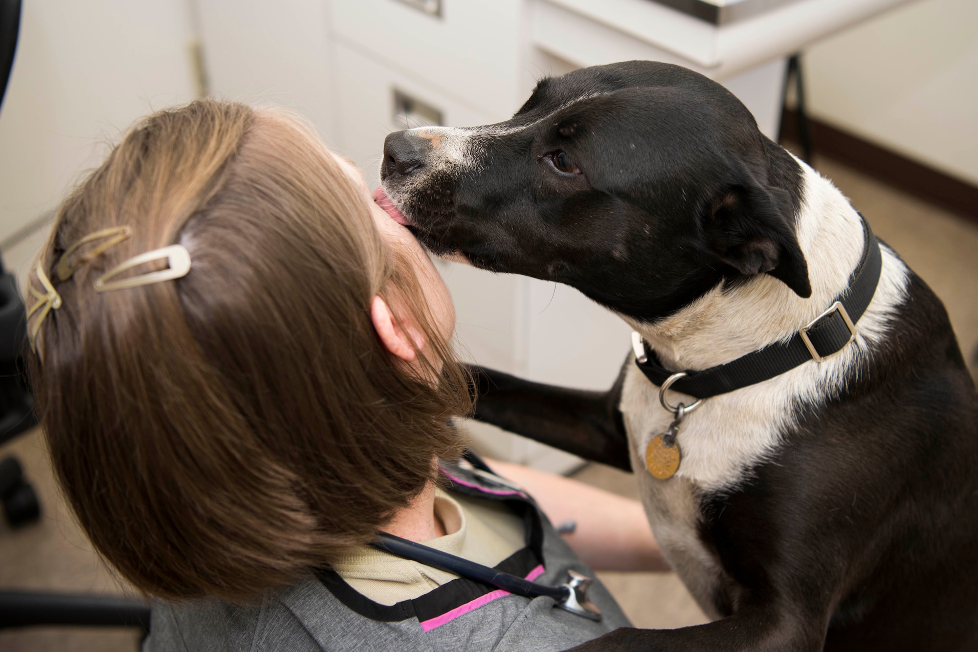 U.S. Army Maj. Natalie Erker, a veterinarian assigned to Fort Lewis Public Health Activity, receives affection from Dory during her visit to the Veterinary Treatment Facility at Joint Base Elmendorf-Richardson, Alaska, July 6, 2018. The facility, in Building 47815 between 5th and 6th Street on Davis Highway, offers a variety of services like canine and feline services, health certificates, sick call, allergy testing and more.