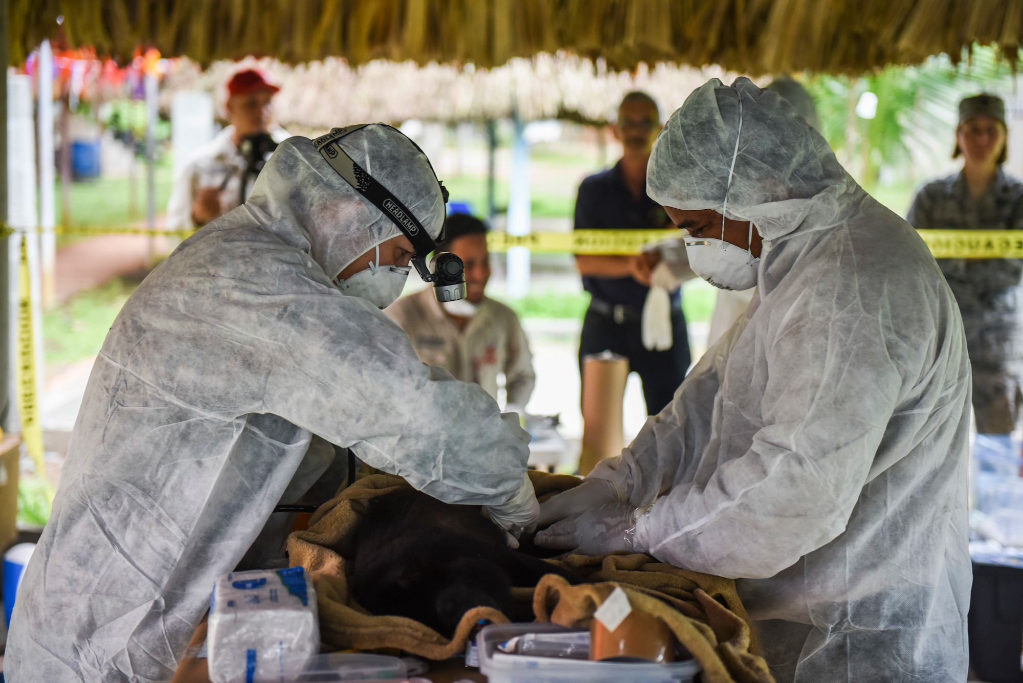 U.S. Air Force Lt. Col. Kelly Gambino-Shirley (left), 346th Expeditionary Medical Operations Squadron public health officer, deployed from Wright-Patterson Air Force Base in Ohio, assists Dr. Blas Armien, a doctor with the Gorgas Institute, as they conduct medical tests on a monkey in Meteti, Panama, June 6, 2018, during an Emerging Infectious Diseases Training Event as part of Exercise New Horizons 2018. (U.S. Air Force photo by Senior Airman Dustin Mullen)