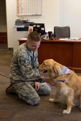 178th Wing member pets Gouda, the first therapy pet for the Animal Assisted Activities Program to visit the wing