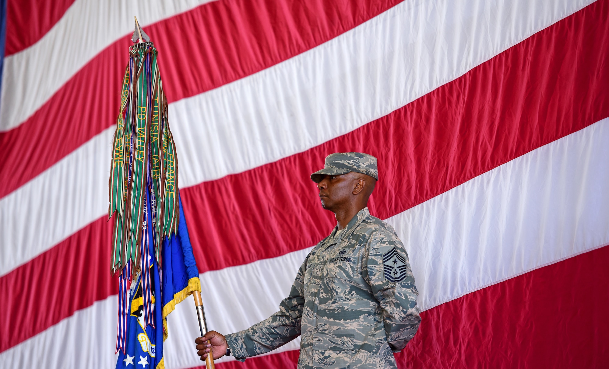 Chief Master Sgt. Craig Williams holds the 325th FW guidon during the wing change of command ceremony.