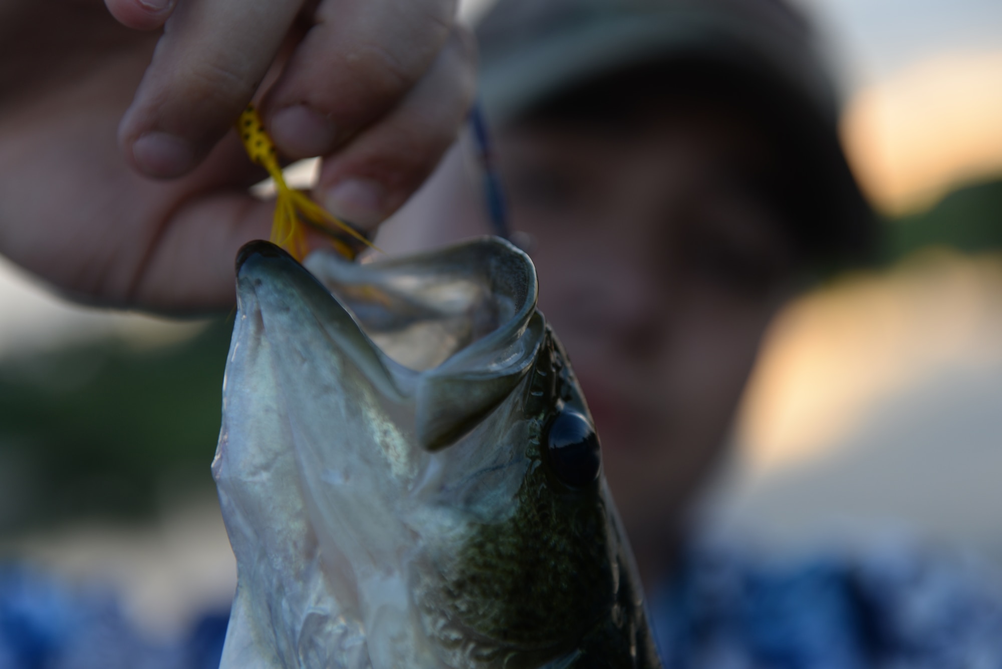 Airman John Ennis, a 28th Bomb Wing Public Affairs broadcast journalist, unhooks a bass caught at Gateway Lake on Ellsworth Air Force Base, S.D., July 12, 2018. Fish in the lakes include, but are not limited to, largemouth bass, rainbow trout, bluegill, perch, crappie, green sunfish and red sunfish. (U.S. Air Force photo by Airman 1st Class Nicolas Z. Erwin)