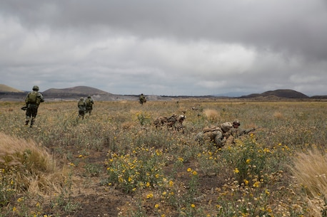 U.S. Marines and RIMPAC participants practice NEO on Island of Hawaii