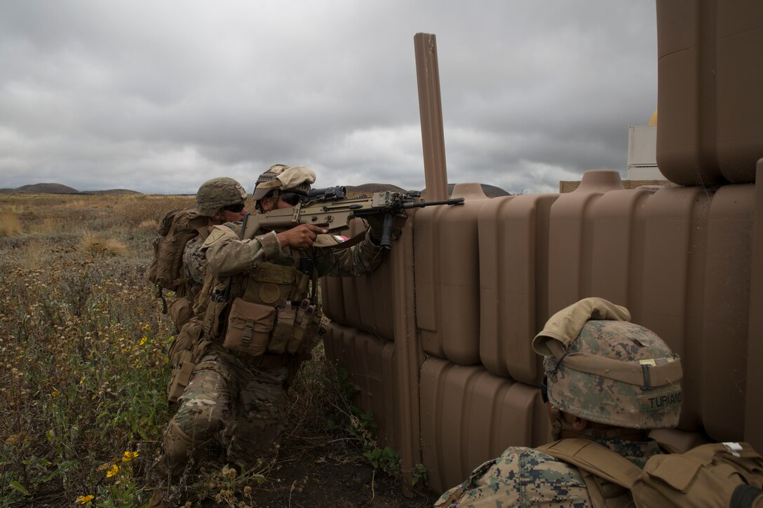 Chilean Marine Cpl. German Letelier, a squad leader with 1st Platoon, 211 Company, 21 Battalion, Chilean Marine Corps, engages enemy combatant role players during a noncombatant evacuation operation (NEO) training event as part of Rim of the Pacific (RIMPAC) exercise at Pohakuloa Training Area, Hawaii July 12, 2018. A NEO is conducted to evacuate citizens whose lives are in danger. RIMPAC provides high-value training for task-organized, highly capable Marine Air-Ground Task Force and enhances the critical crisis response capability of U.S. Marines in the Pacific.