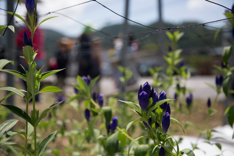 New experiences bloom: Flower arrangement and farm visit