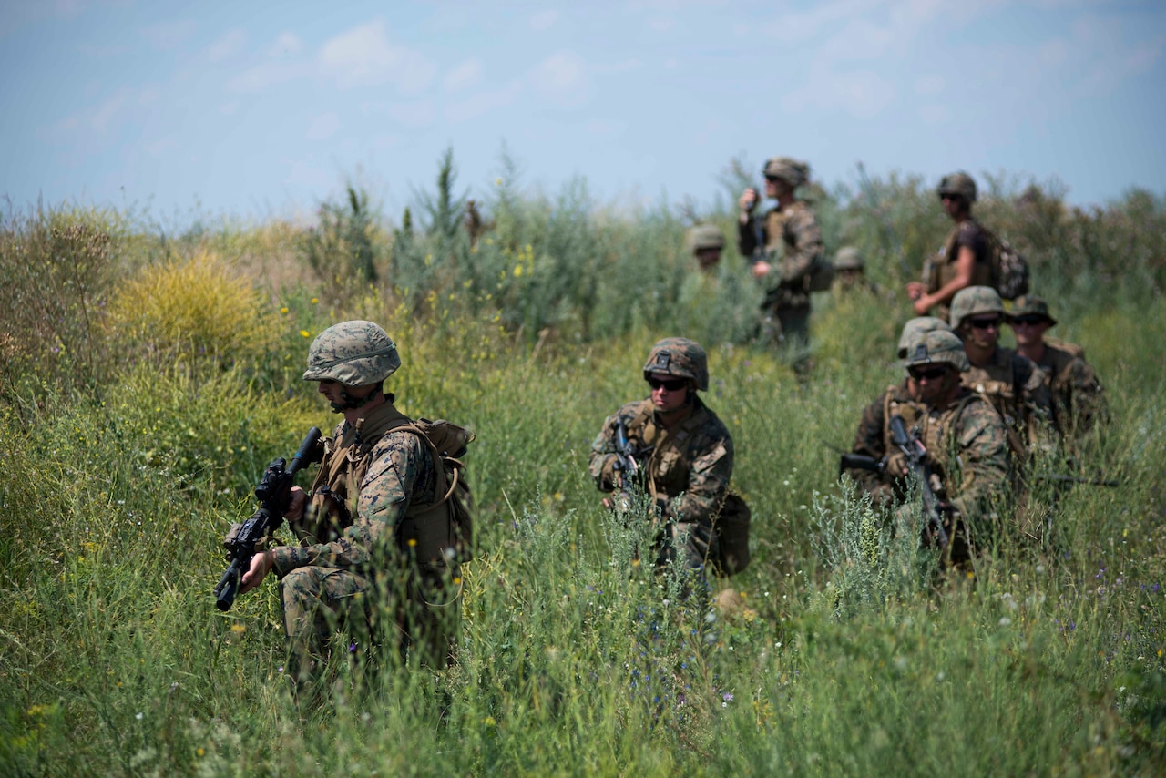 Marines maneuver through a grassy field.