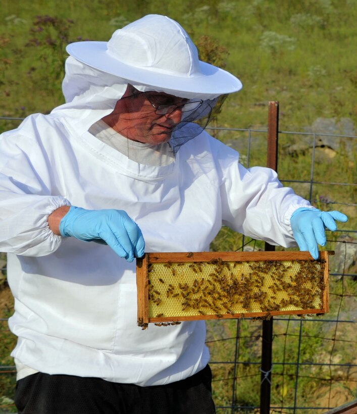 Joe Migliaccio, an AEDC engineering group manager, looks at one of the honey bee colonies on his property. Migliaccio and his wife Rita began beekeeping in 2016. (Courtesy photo)