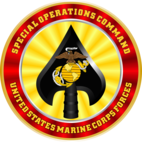 Marine Corps Special Operations Command Color 3 Logo