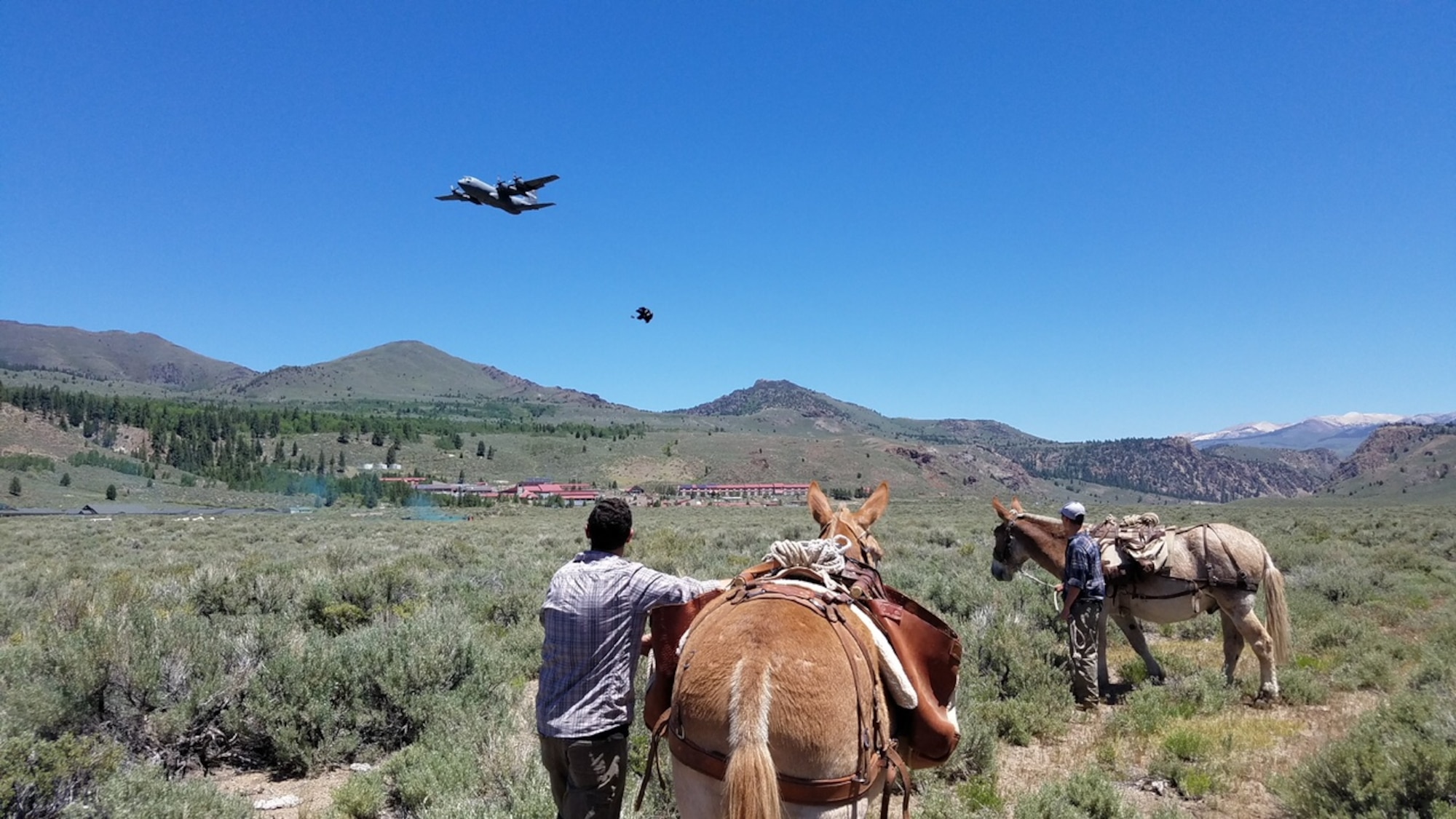 Marines train resupply techniques with pack animals > United