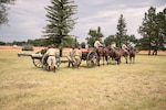 The Fort Sill (Oklahoma) Field Artillery Half Section, visited Cheyenne July 20-22, 2018, to help kick off Cheyenne Frontier Days and to demonstrate how artillerymen operated 100 years ago. The Wyoming Military Department hosted the team which performed at the opening day wild west show, a parade, a rodeo, and at F.E. Warren Air Force Base’s Fort D.A. Russell Days.