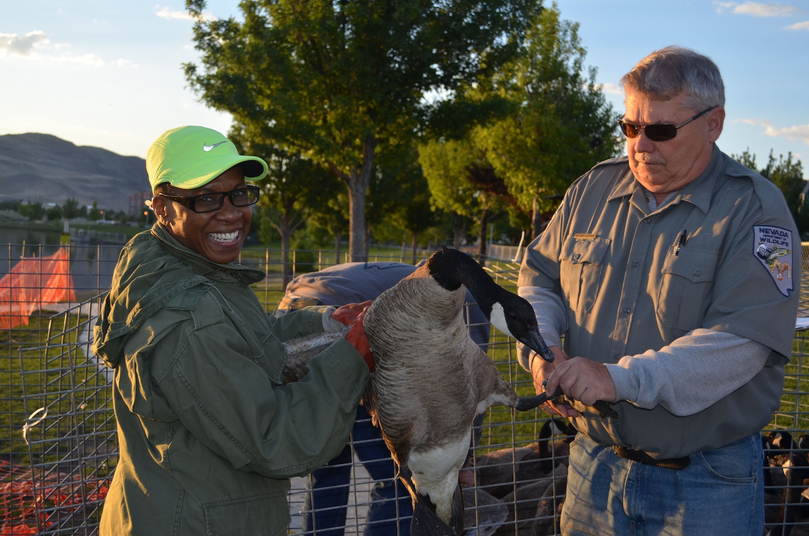 High Roller, Senior Master Sgt. Angela Ash and Nevada Department of Wildlife's Rodney Johnson help out at the 33rd Annual Canada Goose Round-Up on June 5, 2018, where the 152nd Airlift Wing worked closely with the United States Department of Agriculture and Nevada Department of Wildlife to relocate geese away from aircraft in the Reno-Tahoe region to a safer location at Carson Lake, Nevada.