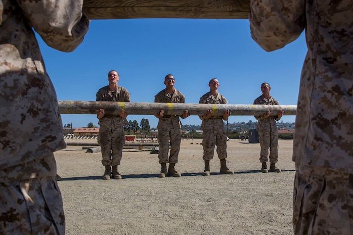 Recruits with India Company, 3rd Recruit Training Battalion, curl a log during a log drill exercise at Marine Corps Recruit Depot San Diego, July 23.