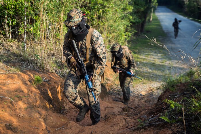 Marines with TRT Plt. take on the jungle